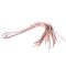 Батіг Flogger Art of Sex, Рожевий