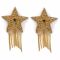 Пестис-зірки з бахромою JSY Nipple Sticker RT236112 Gold, стікери