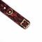 Нашийник з повідцем Liebe Seele Victorian Garden Collar with Leash