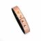Нашийник із затискачами для сосків Liebe Seele Rose Gold Memory Collar with Nipple Clamps, шкіра