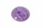 Вібратор для пар FairyGasm PleasureBerry violet, зарядний кейс, пульт ДК
