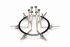 Анальний розширювач Master Series Oculus Stainless Steel Anal Explorer