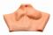 Накладна вагіна Master Series Silicone Vagina + Butt Panties - Large
