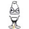Сбруя зі страпоном LOCKINK SEVANDA Queen Sheba Set with Golden Dildo