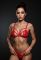 Комплект Passion ANUVERA SET fire brick L
