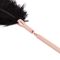 Лоскітка з металевим флогером Rosy Gold - Feather Tickler & Whip