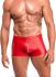 Чоловічі шорти Noir Handmade H097 Ignite shorts S
