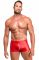 Чоловічі шорти Noir Handmade H097 Ignite shorts S