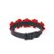 Нашийник з повідцем Liebe Seele Flower Rhythm - Black and Red Leather Flowers collar with Leash
